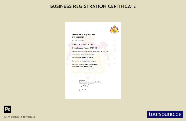 listo para imprimir Certificado de registro comercial de Suecia Plantilla de pla